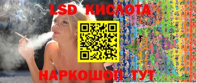 стаф Донской