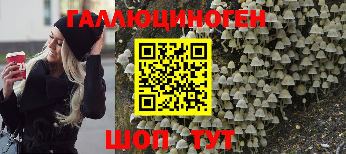 Галлюциногенные грибы ЛСД  Вход с VPN  Чебоксары 