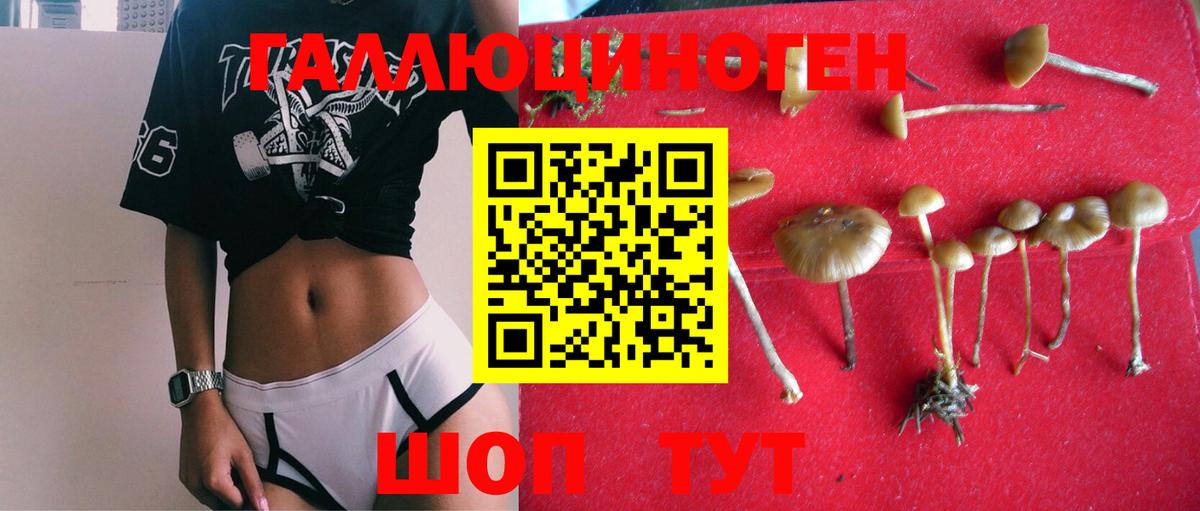 Псилоцибиновые грибы ЛСД Чебоксары